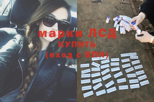 ГАЛЛЮЦИНОГЕННЫЕ ГРИБЫ Богородск